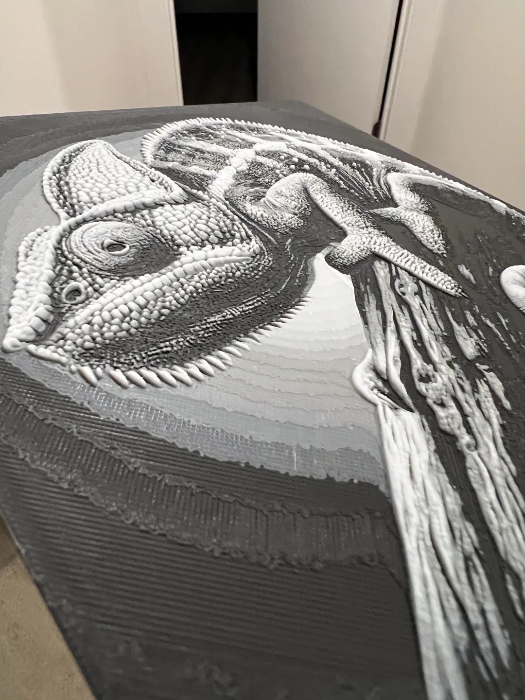 Chameleon Grayscale Art Hueforge
