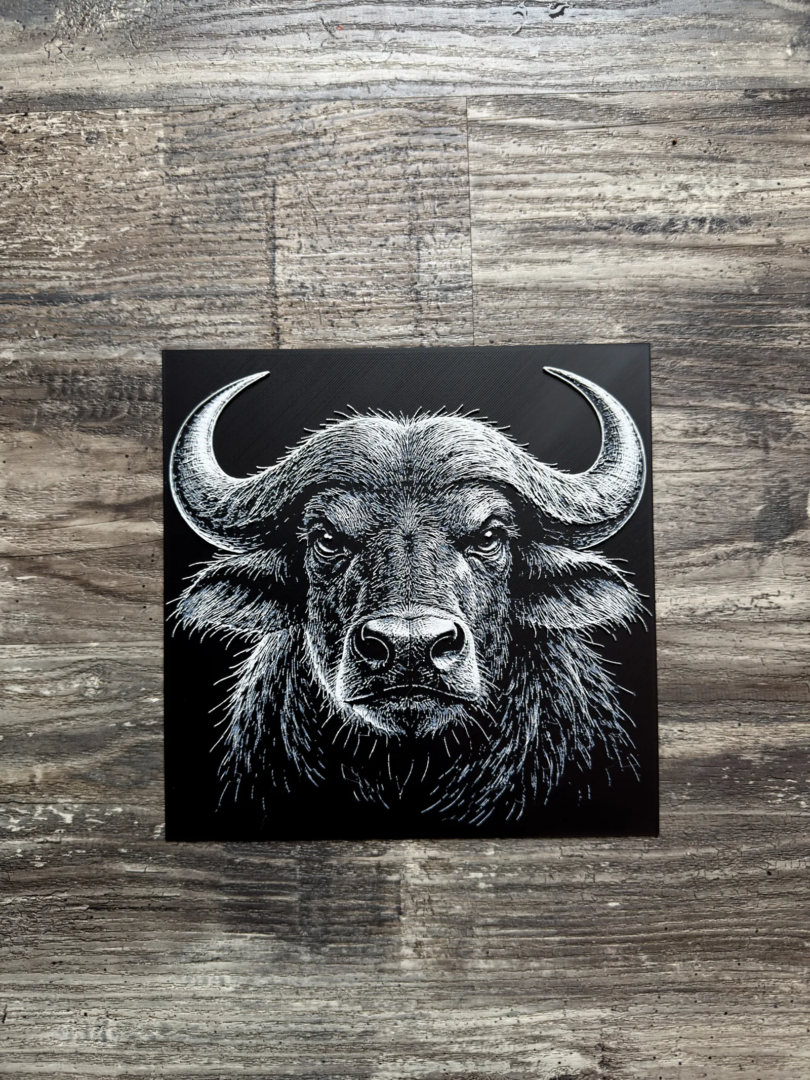 Water Buffalo Wildlife Series
