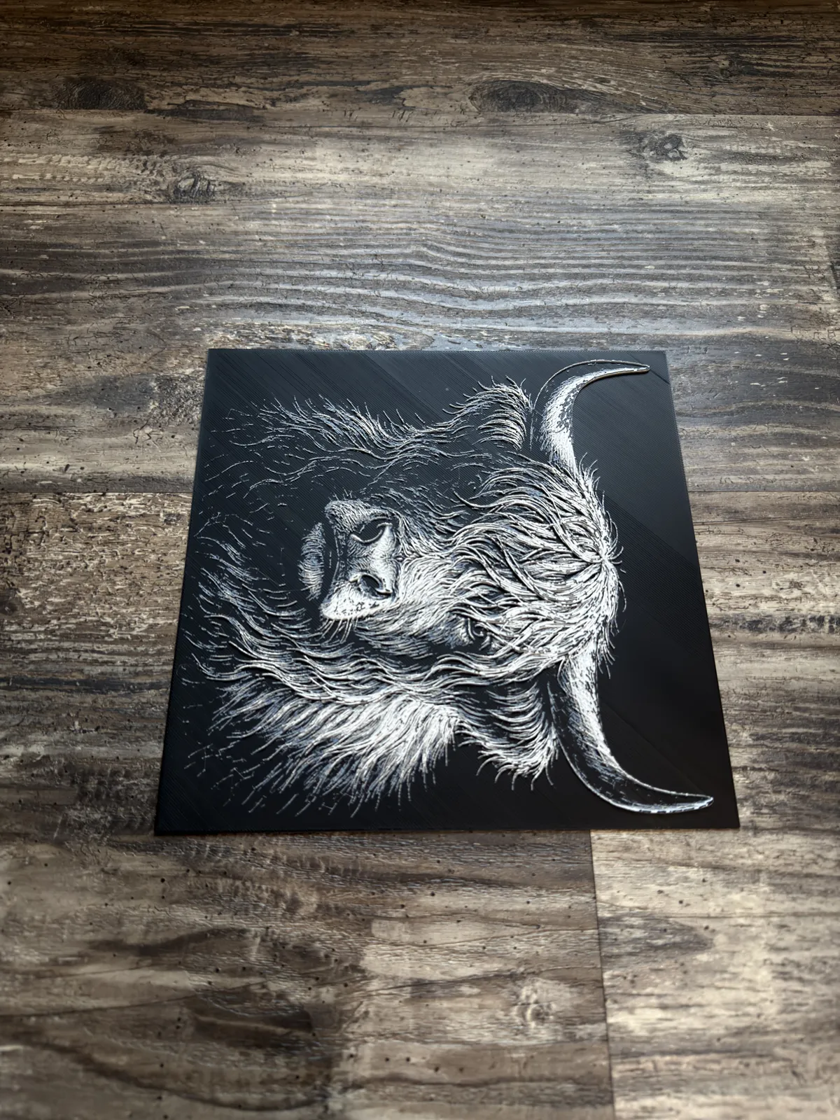 Highland Cow HueForge Wildlife Series