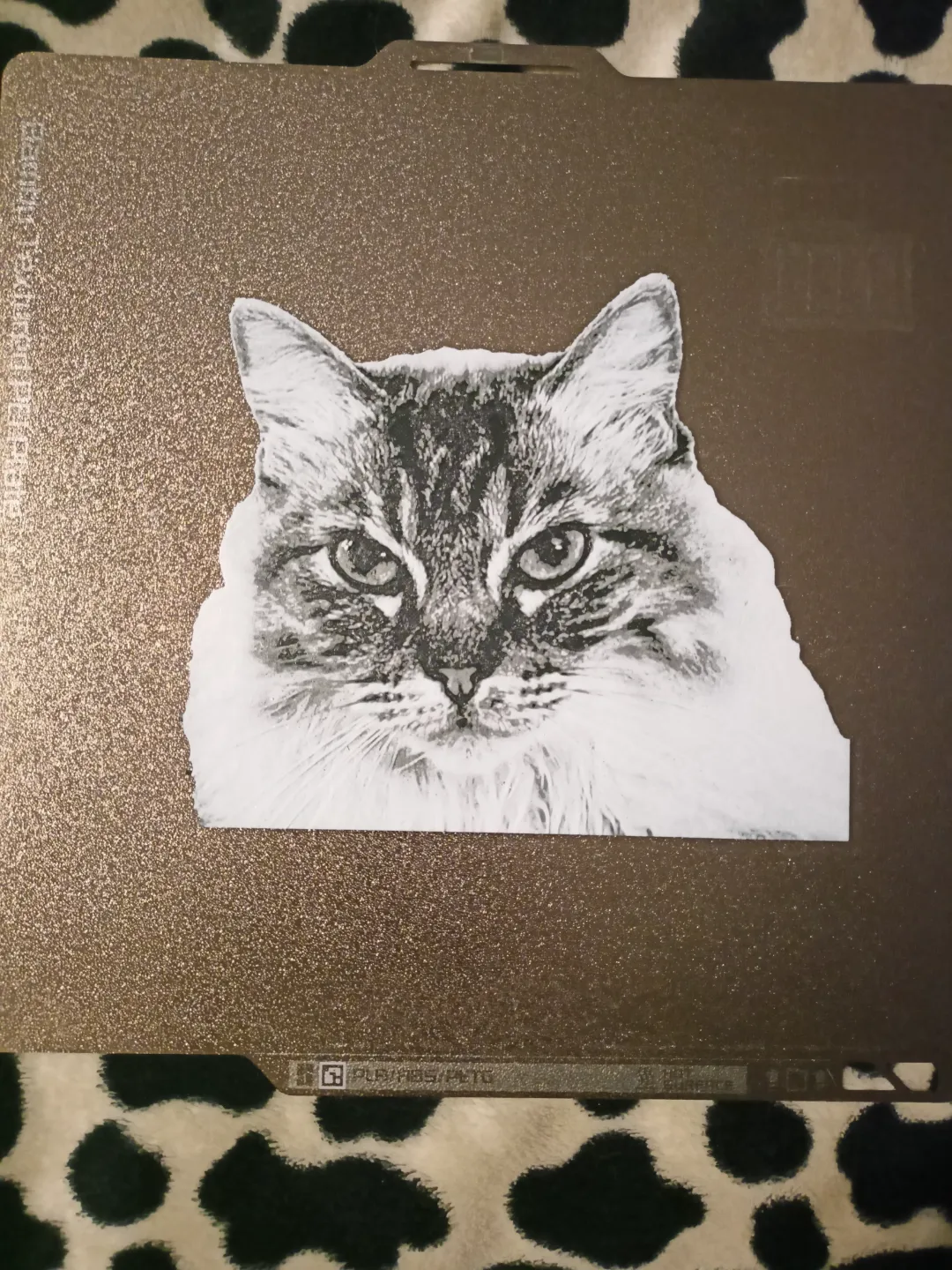 Cat HueForge