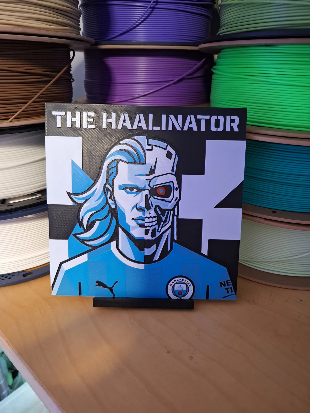 The Haalinator - Hueforge 4 Colour