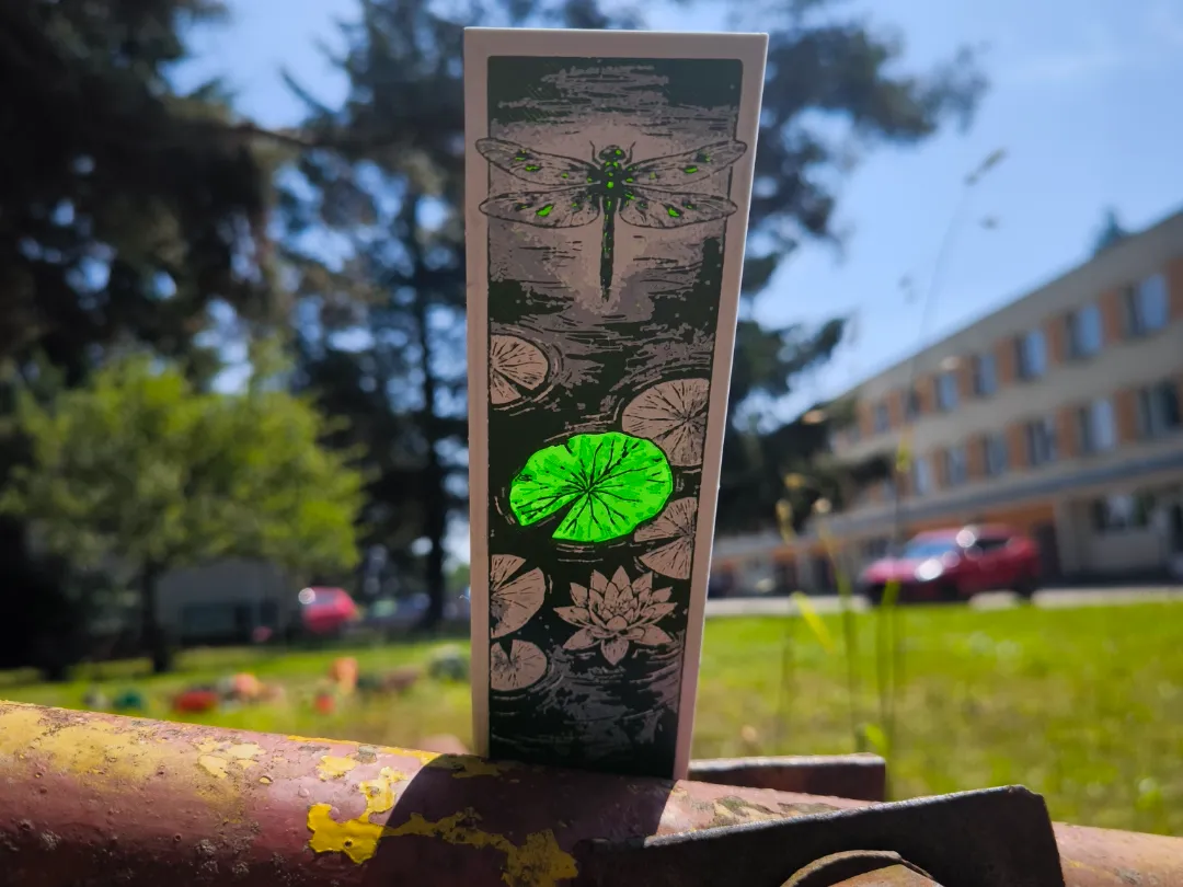 Dragonfly bookmark