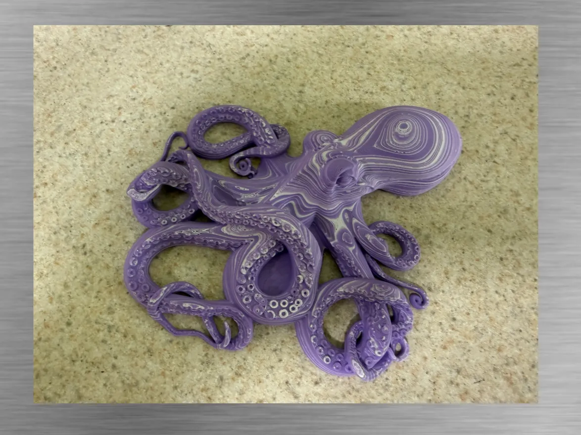 Octopus -Color Stacked Wall decoration