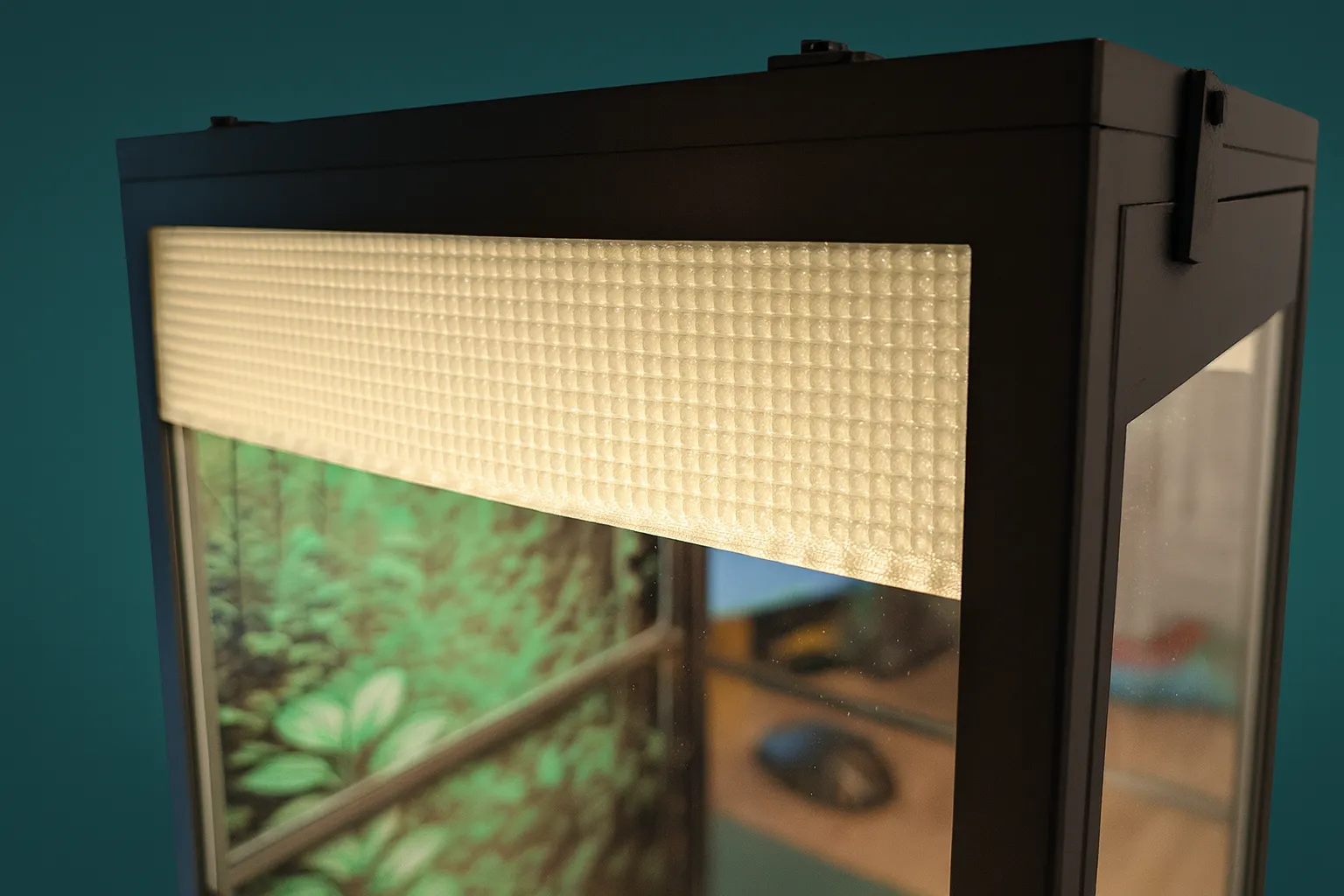 DIY Terrarium 235x220x430mm mit HueForge Rückwand