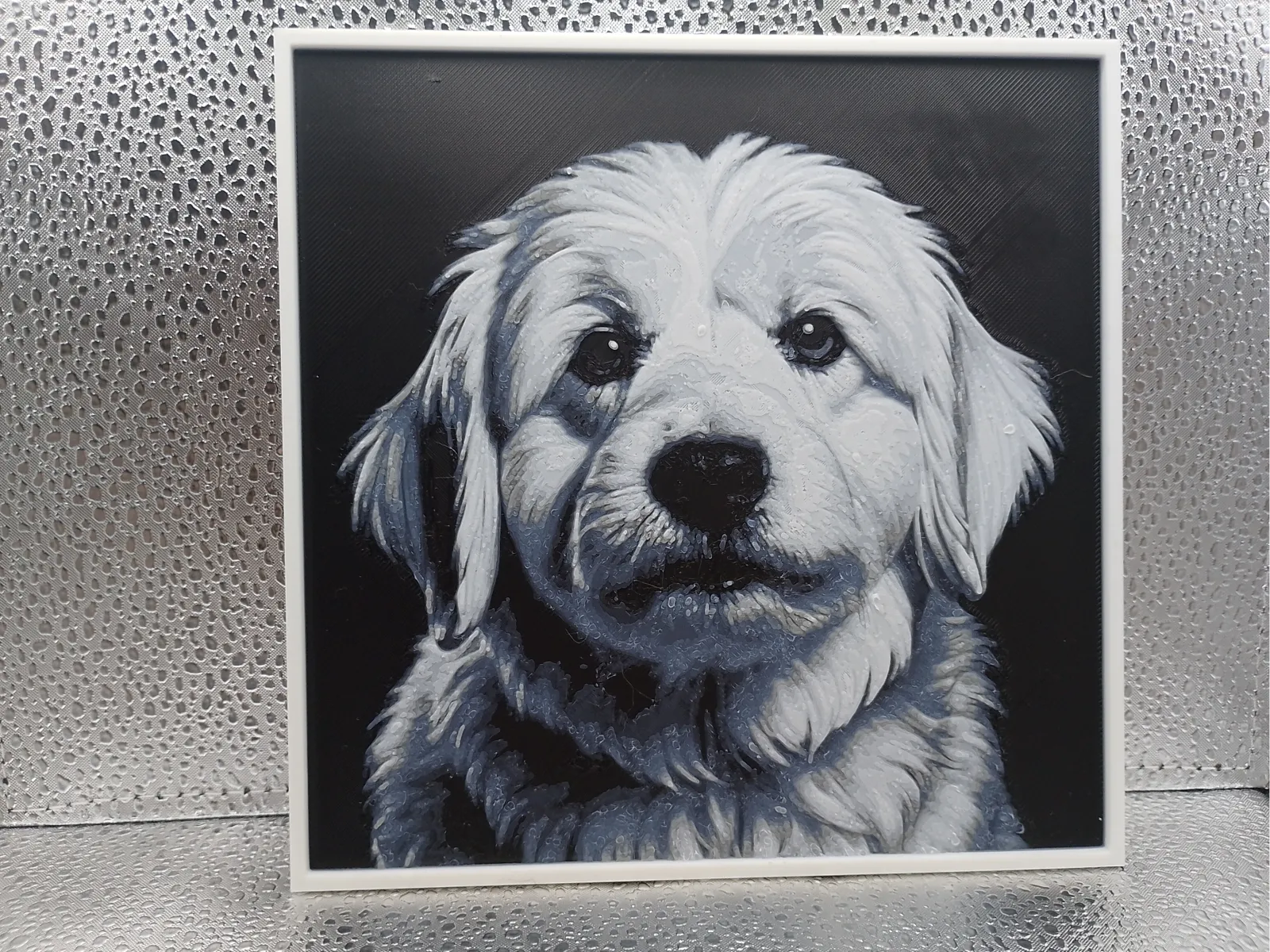 Coton de Tulear - Hueforge