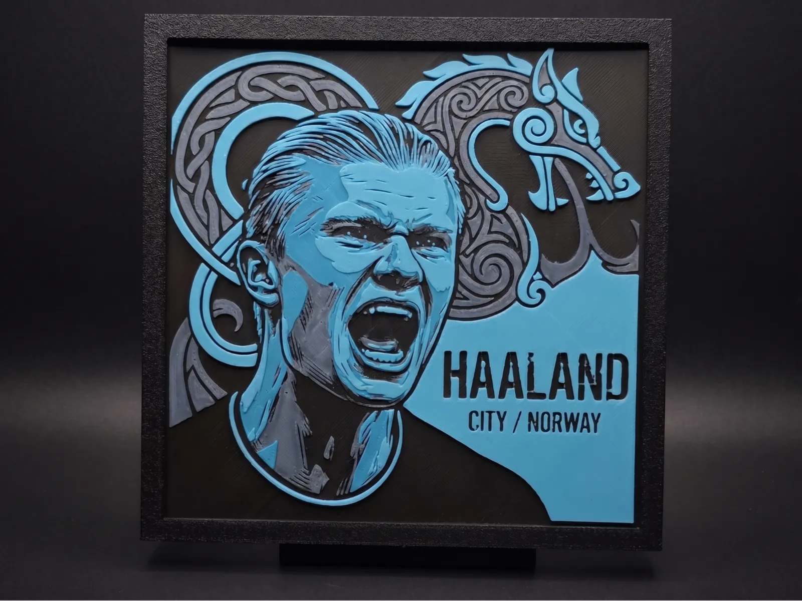 Haaland Portrait - Hueforge