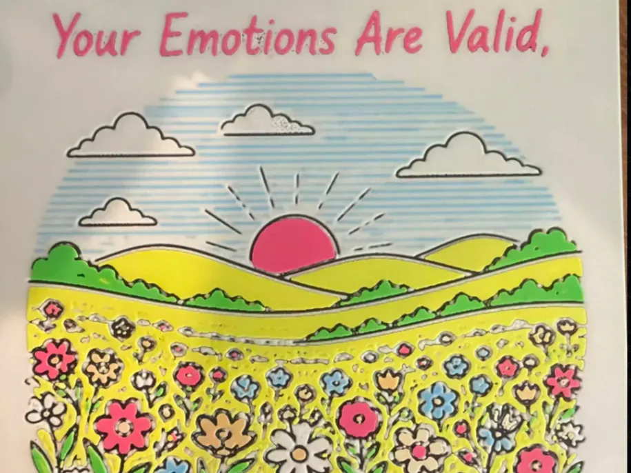 Your Emotions Are Valid, But Dont Crash Out