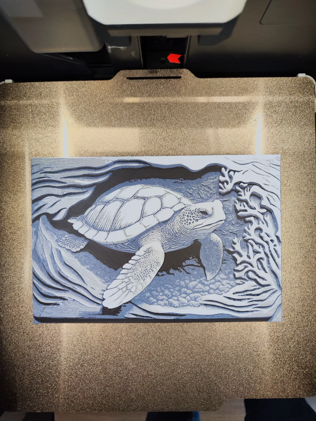 Sea turtle