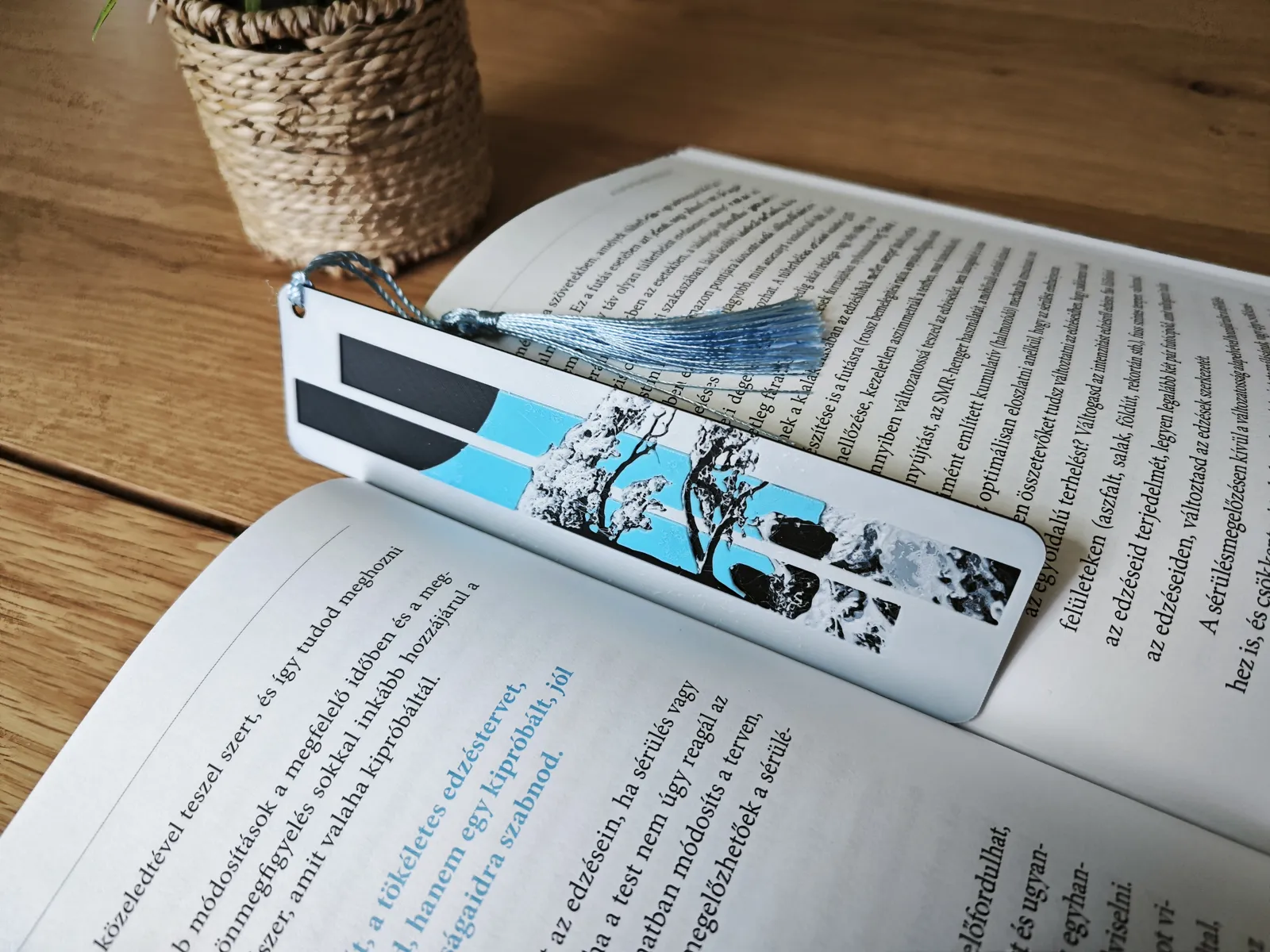 Zen Window Bookmark