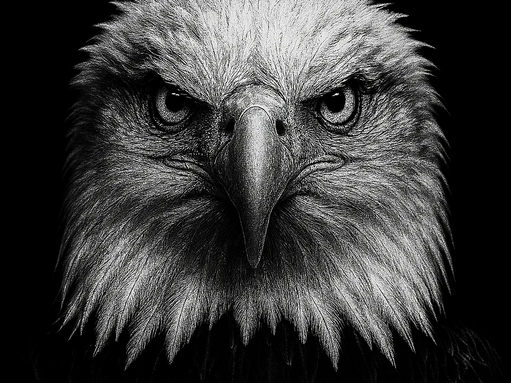 Hueforge Eagle