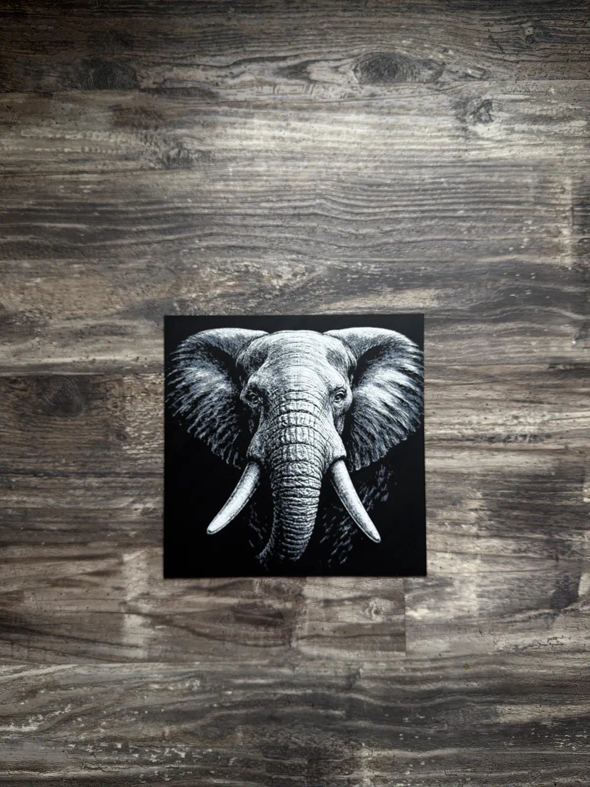 Elephant HueForge Wildlife Series