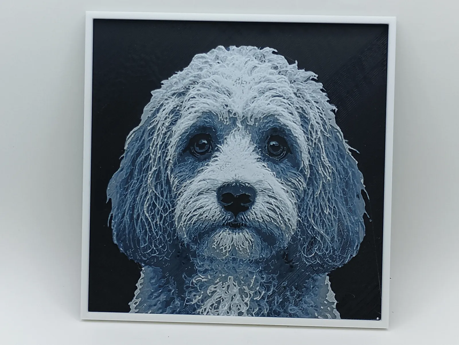 Cavapoo - Hueforge