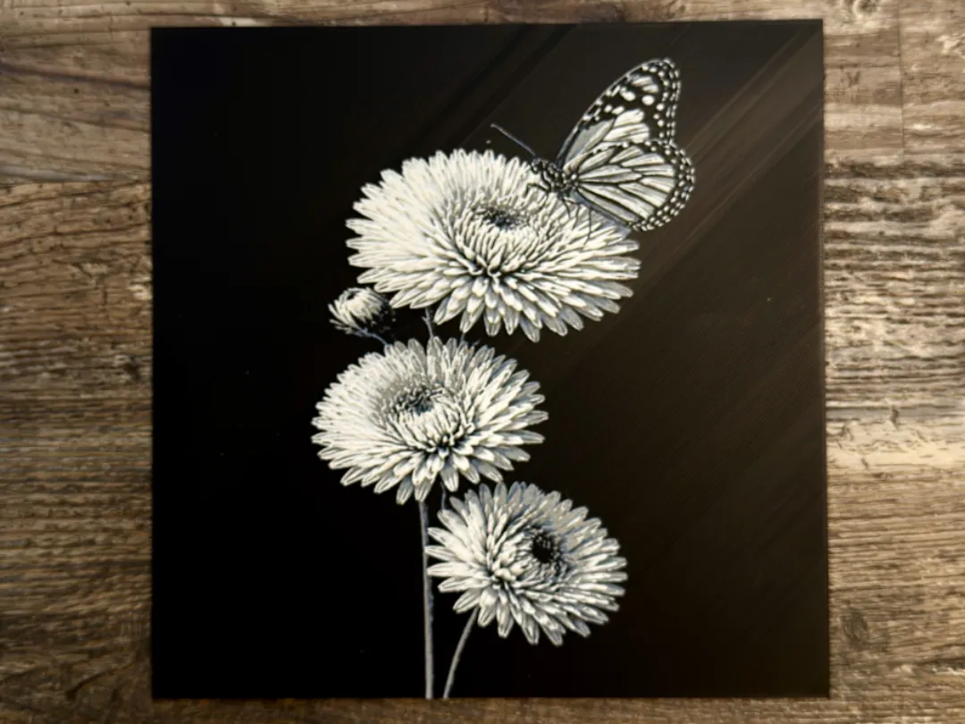 Aster with butterfly Flower Series