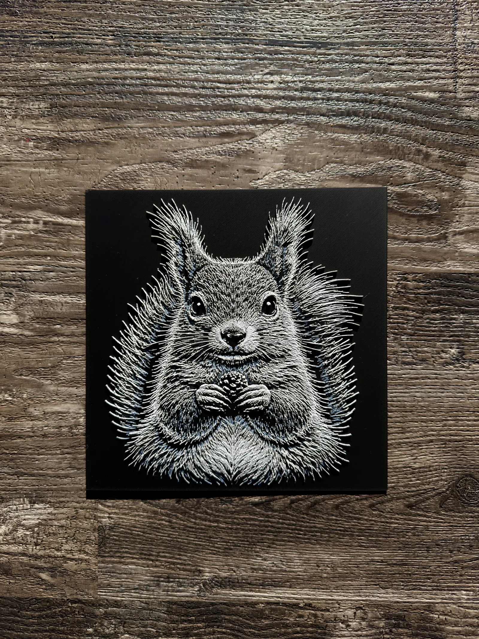 Squirrel Wildlife Series
