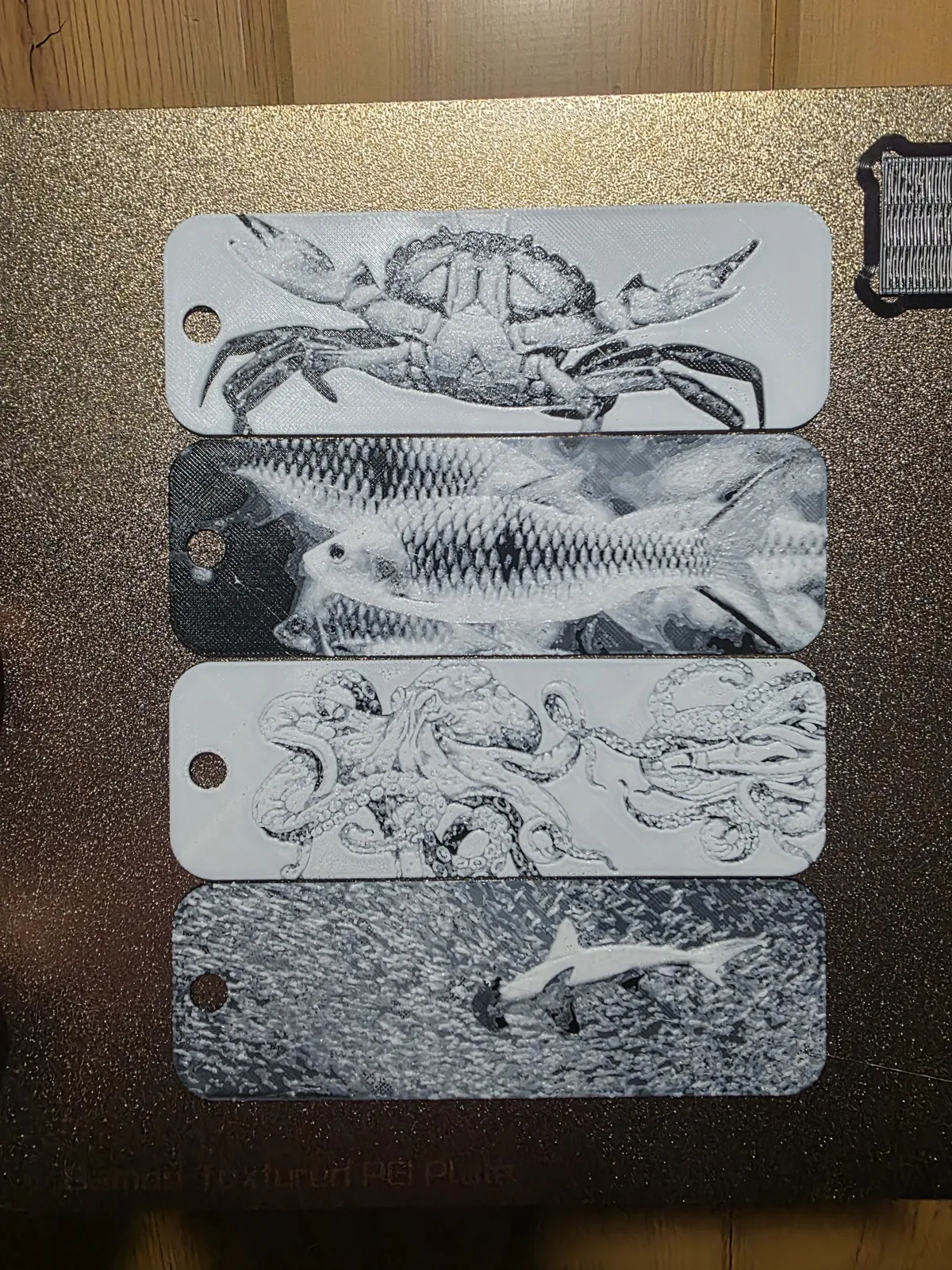 Ocean Creatures Hueforge Bookmark Set of 4
