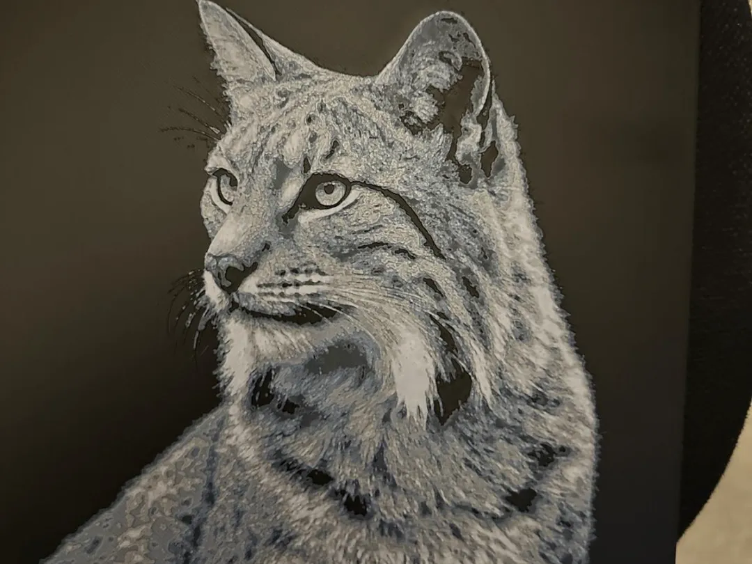 lynx Hue Forge