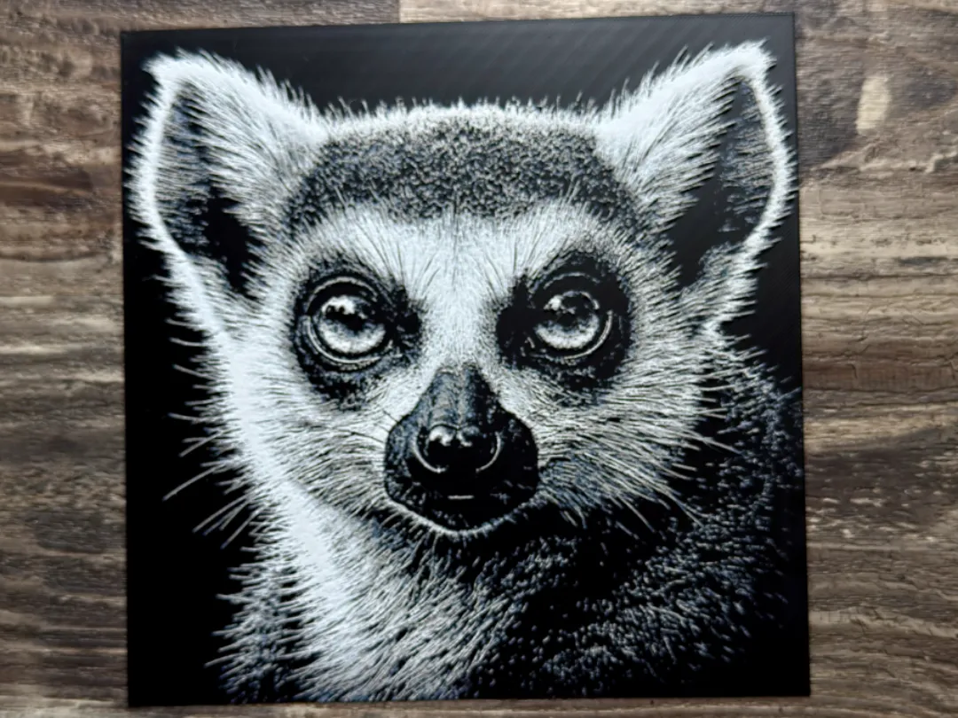 Ring-Tailed Lemur Wildlife Series