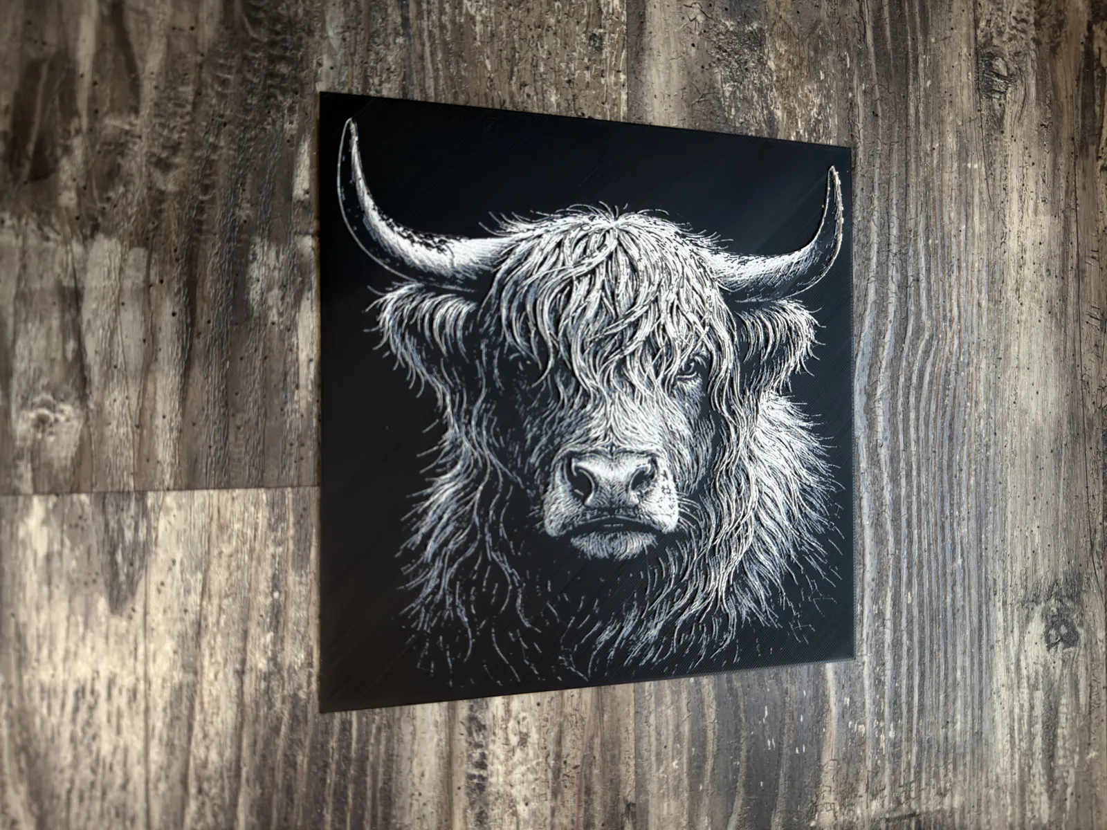 Highland Cow HueForge Wildlife Series