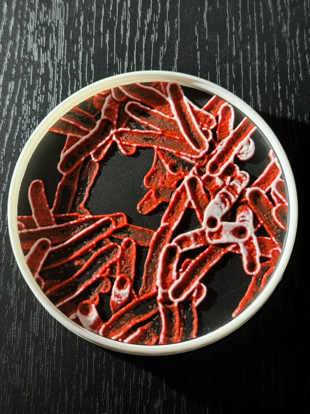 Bad Bugs- Disease Causing Bacteria