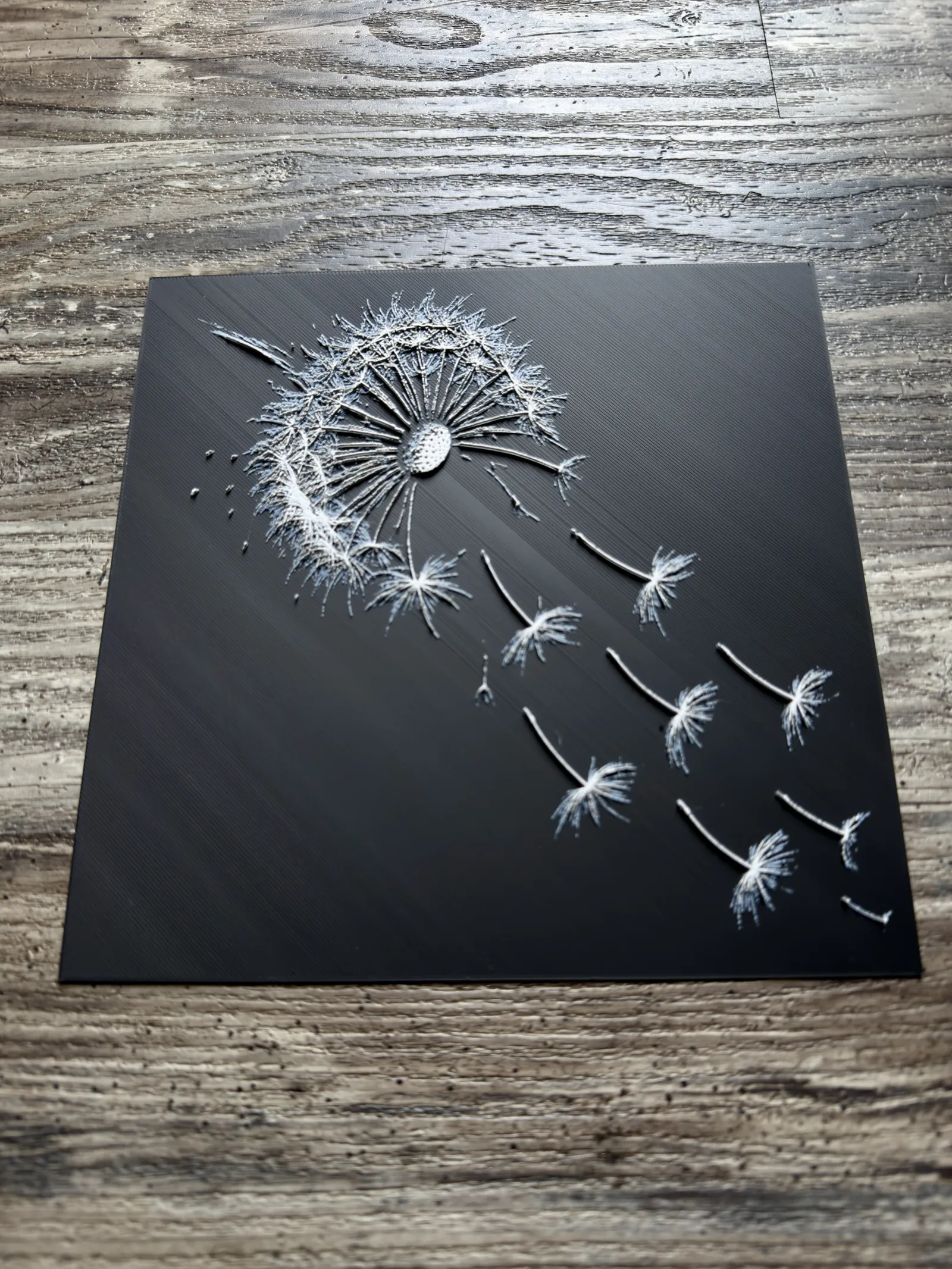 Dandelion Flower Series
