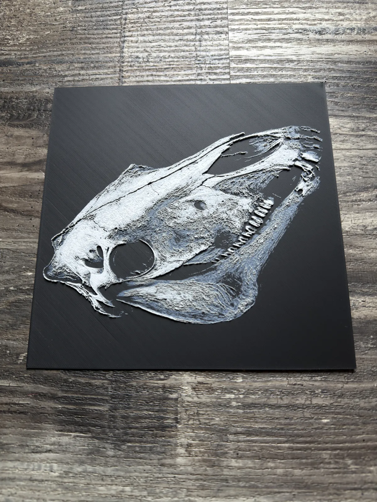 Horse Skull Series