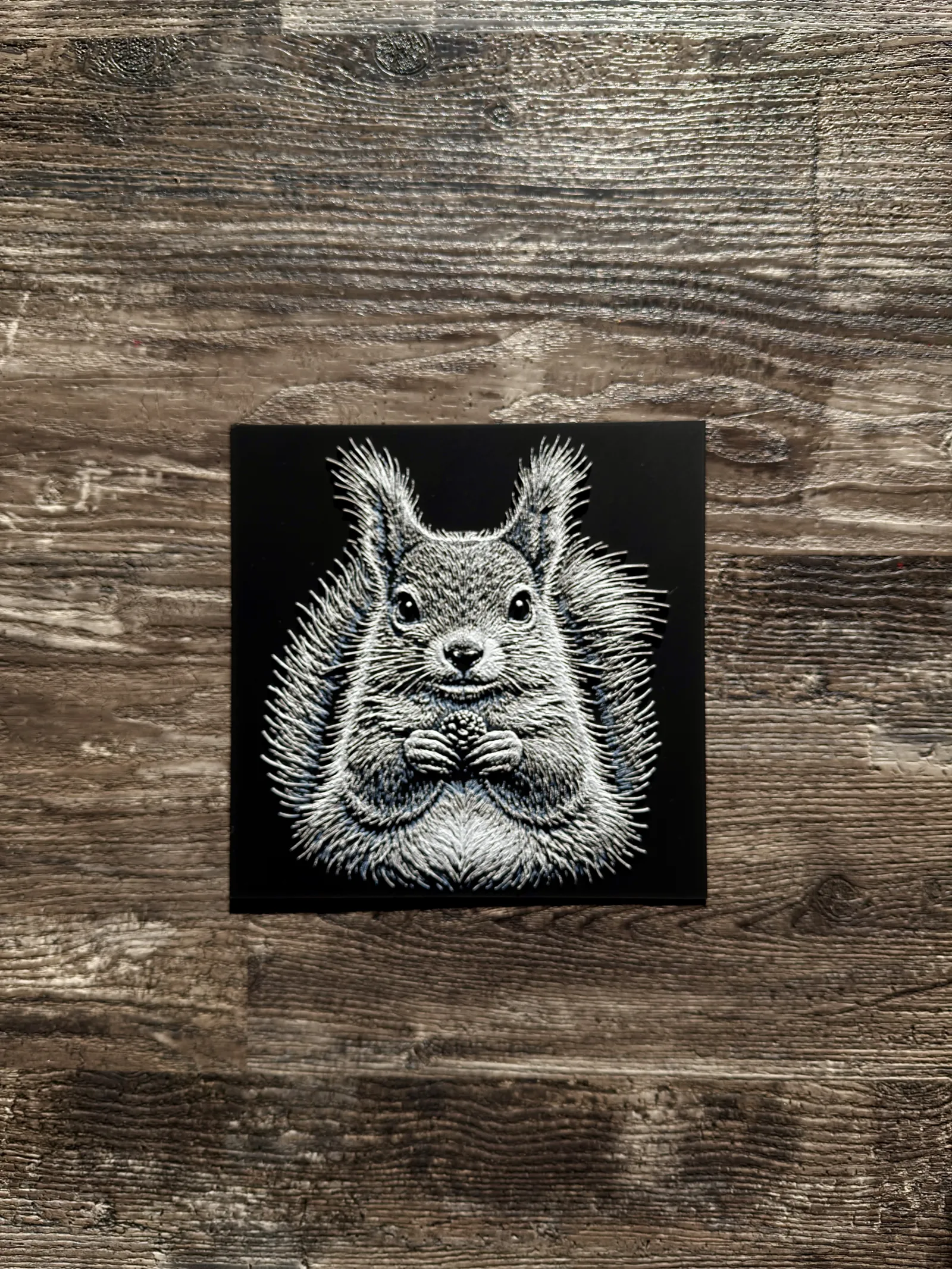 Squirrel Wildlife Series