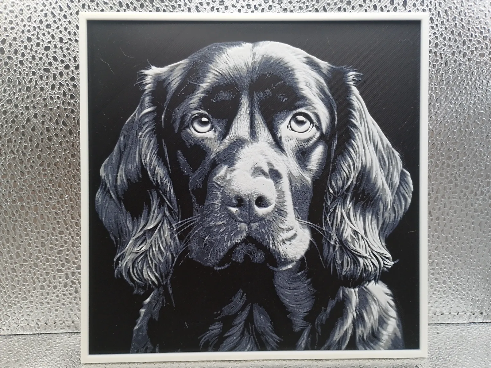 Boykin Spaniel - Hueforge
