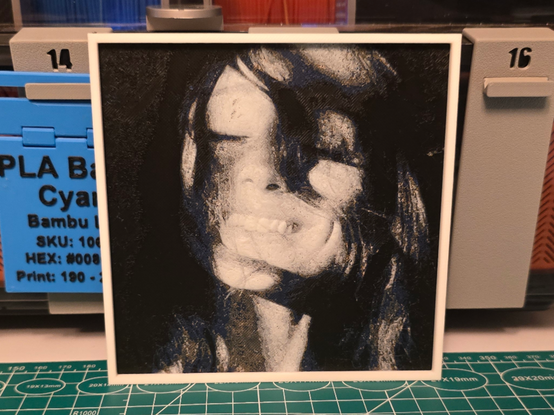 Ariana Grande "petal" Album - Hueforge Art