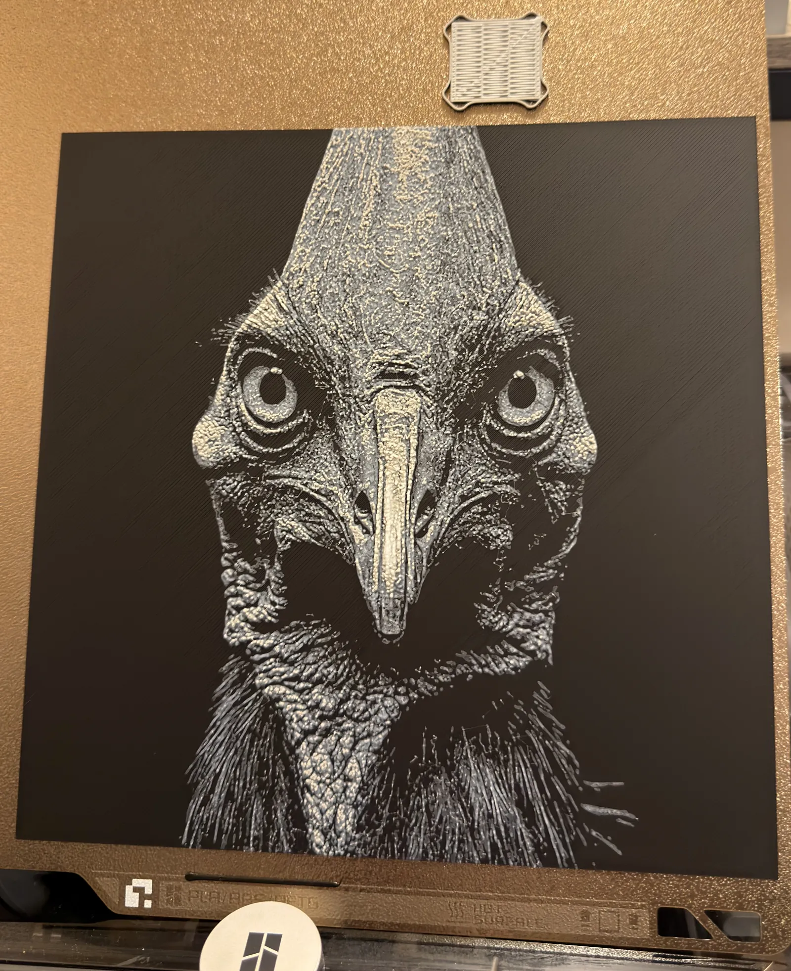 Hueforge Cassowary