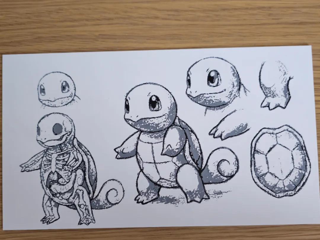 Squirtle field sketch (Kromacut)