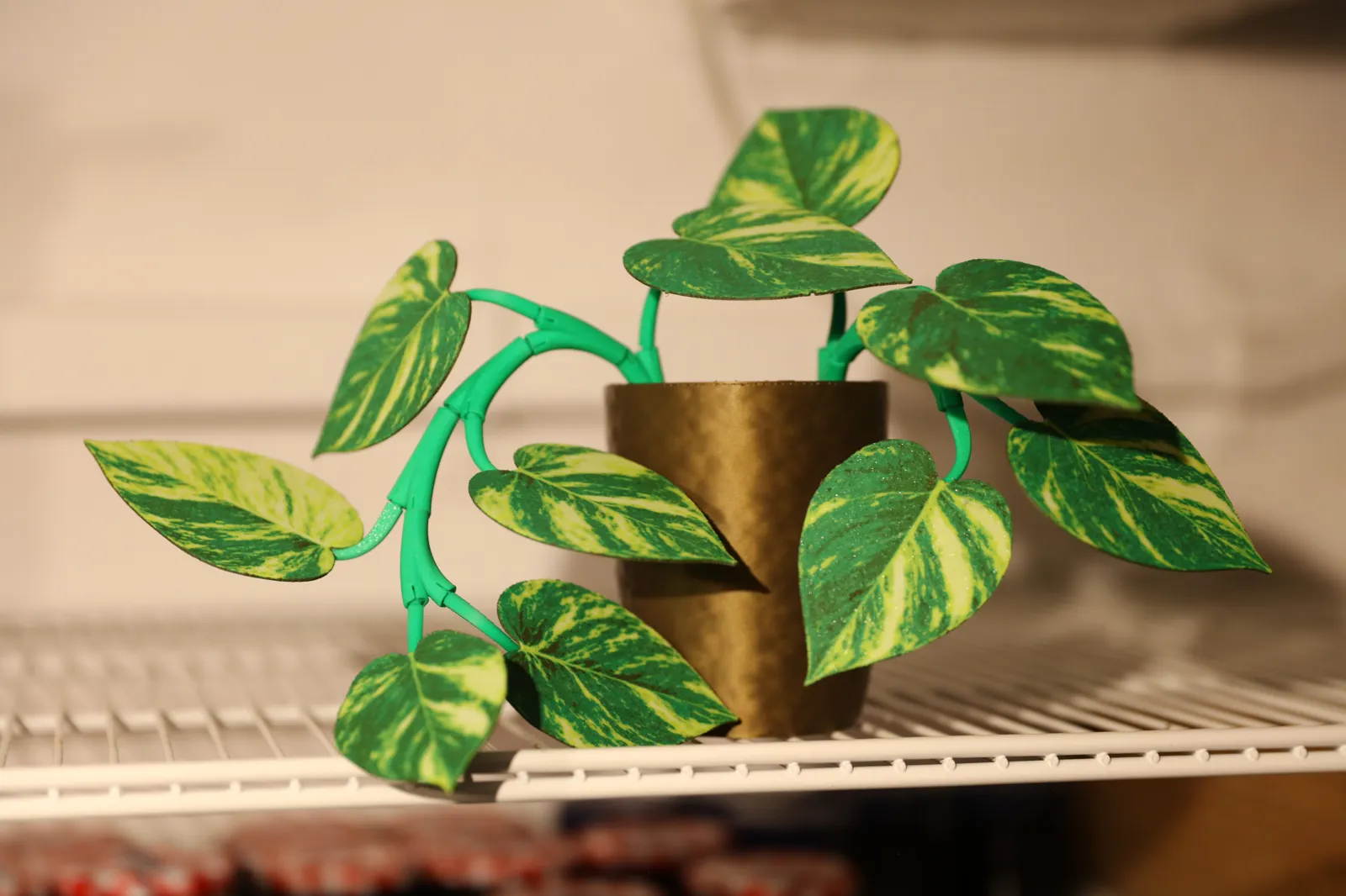 Modular Realistic Pothos Plant with Pot