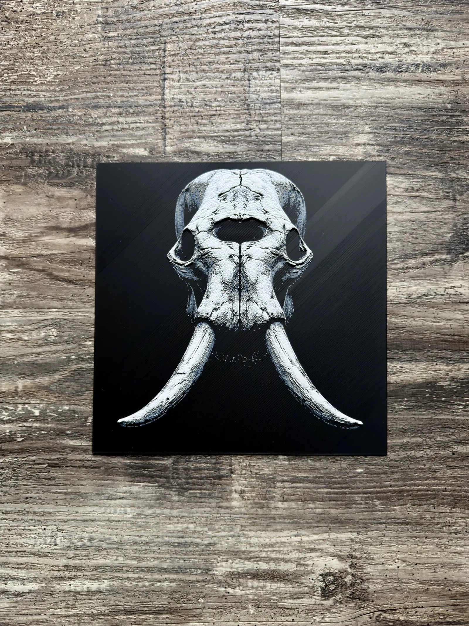 Elephant Skull Series