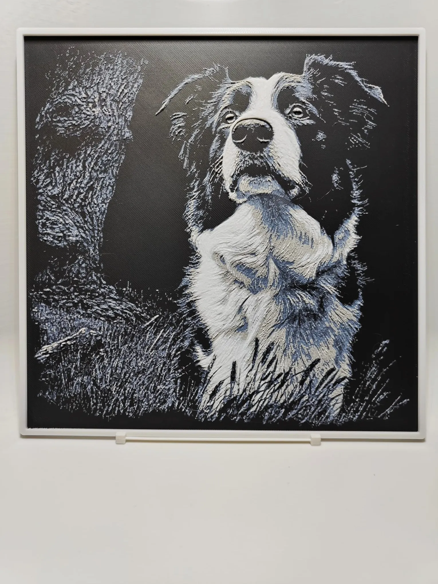 Border Collie - Hueforge