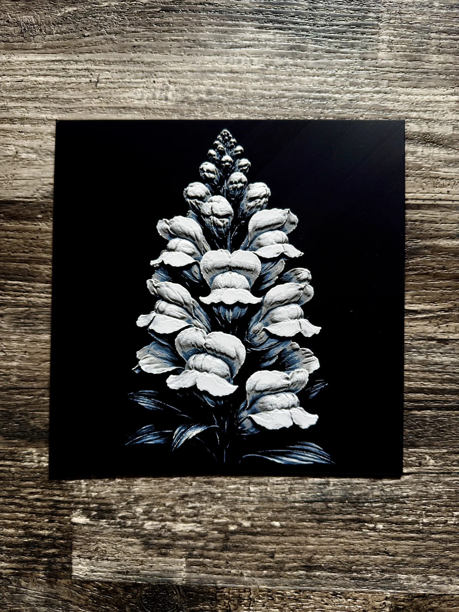 Snap Dragon Flower Series