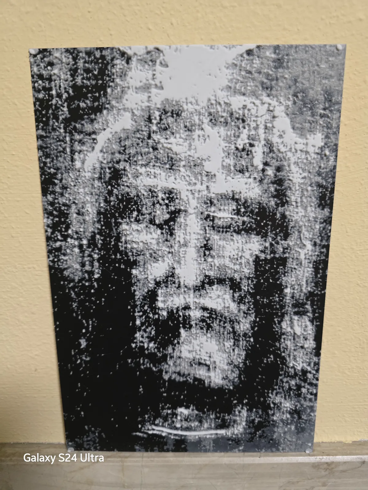 Il volto della Sacra Sindone