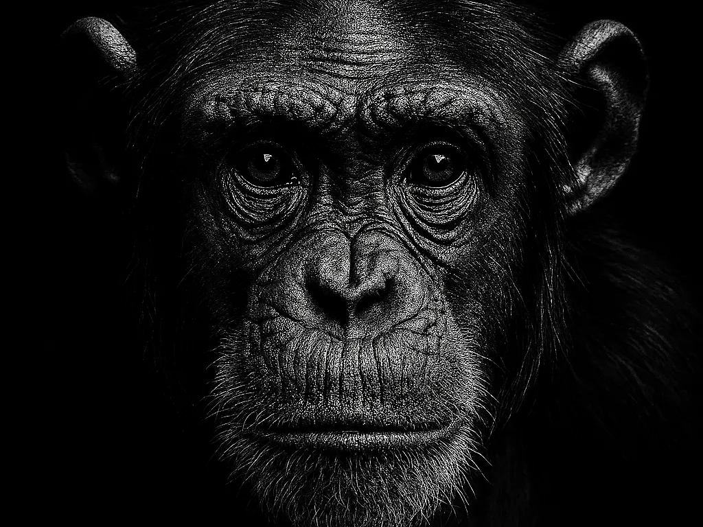 Hueforge Chimpanzee