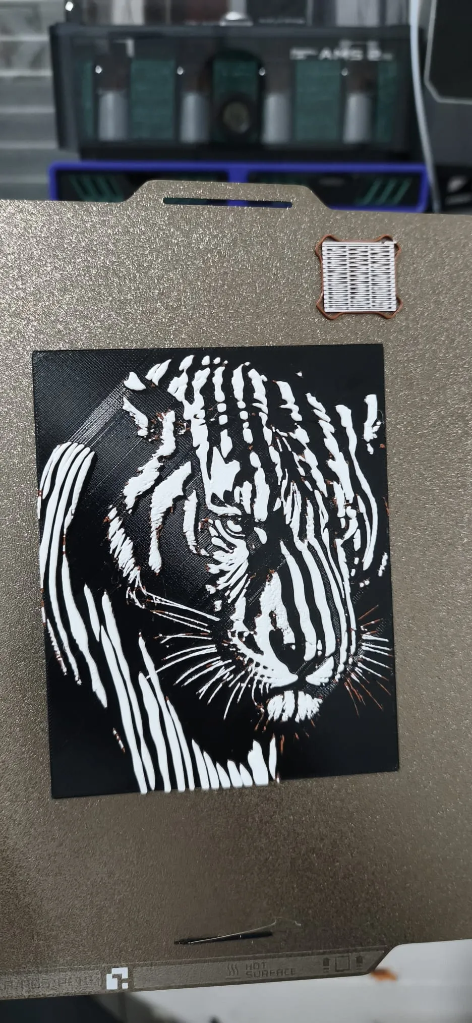Striped Shadows Series #2 – Tiger Gaze HueForge
