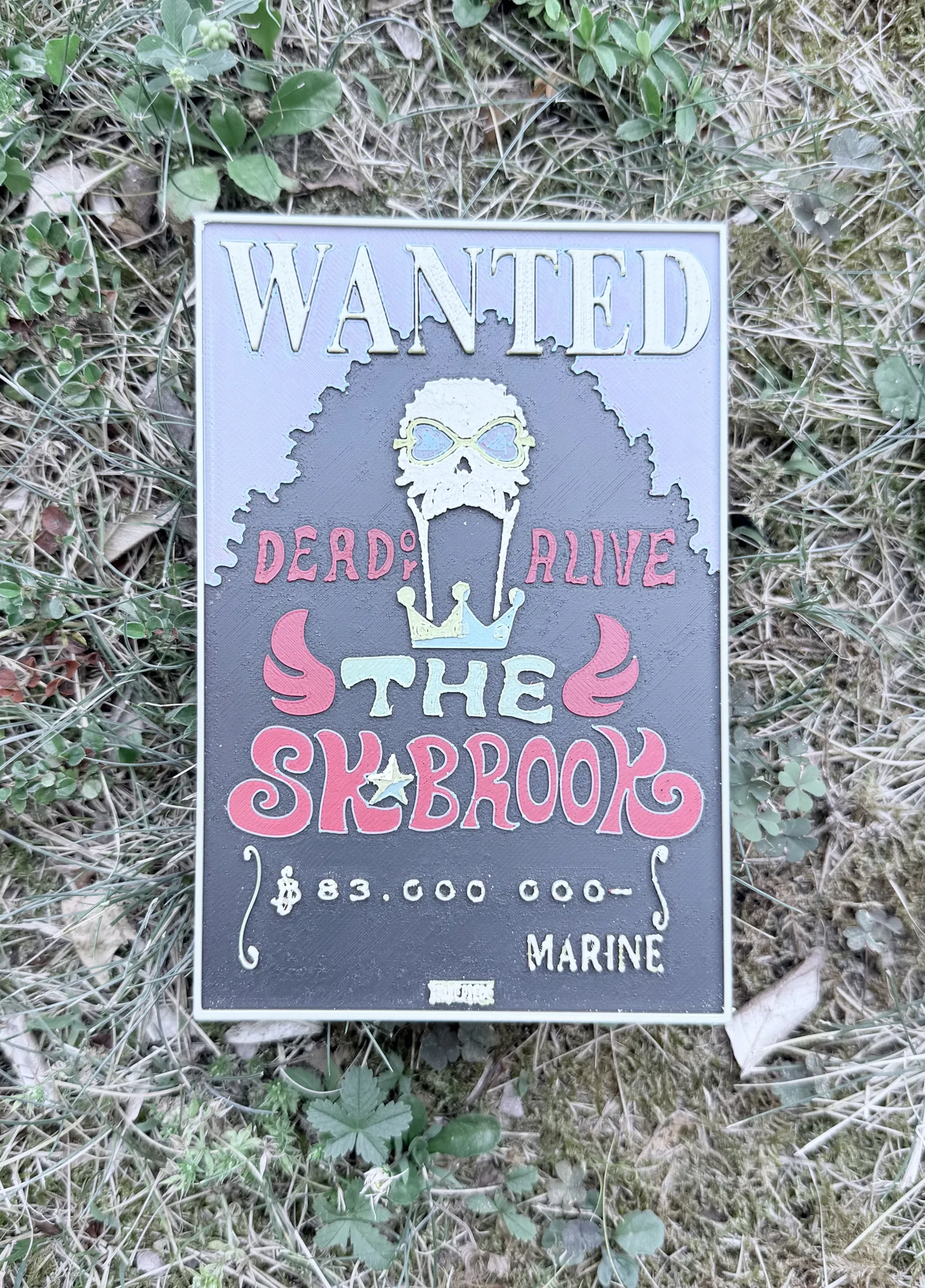 Brook Wanted Poster HueForge | No AMS 15x10cm