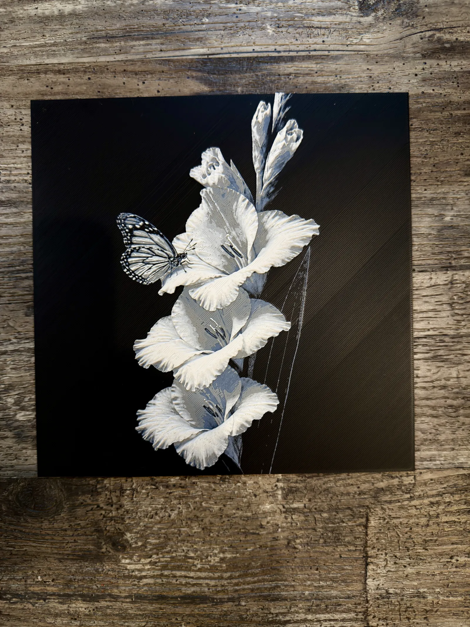 Gladiolus Flower Series