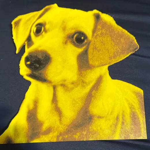 Dachsund - HueForge