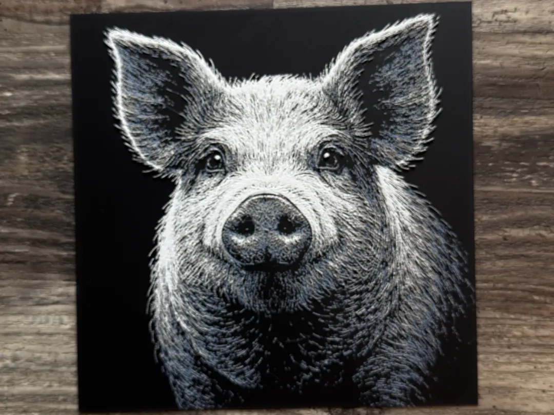 Pig Wildlife Series