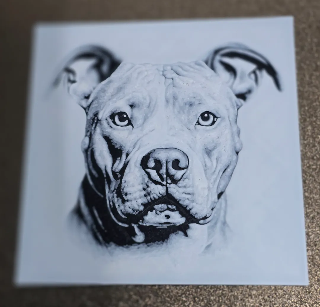 Bull Terrier