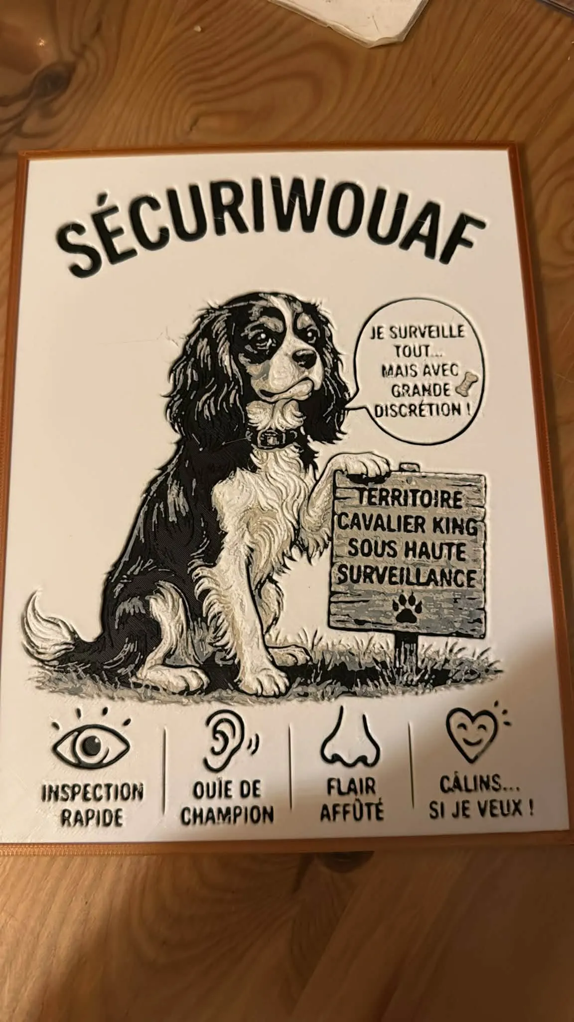 AMS NON REQUIS cavalier king charles securiwouaf