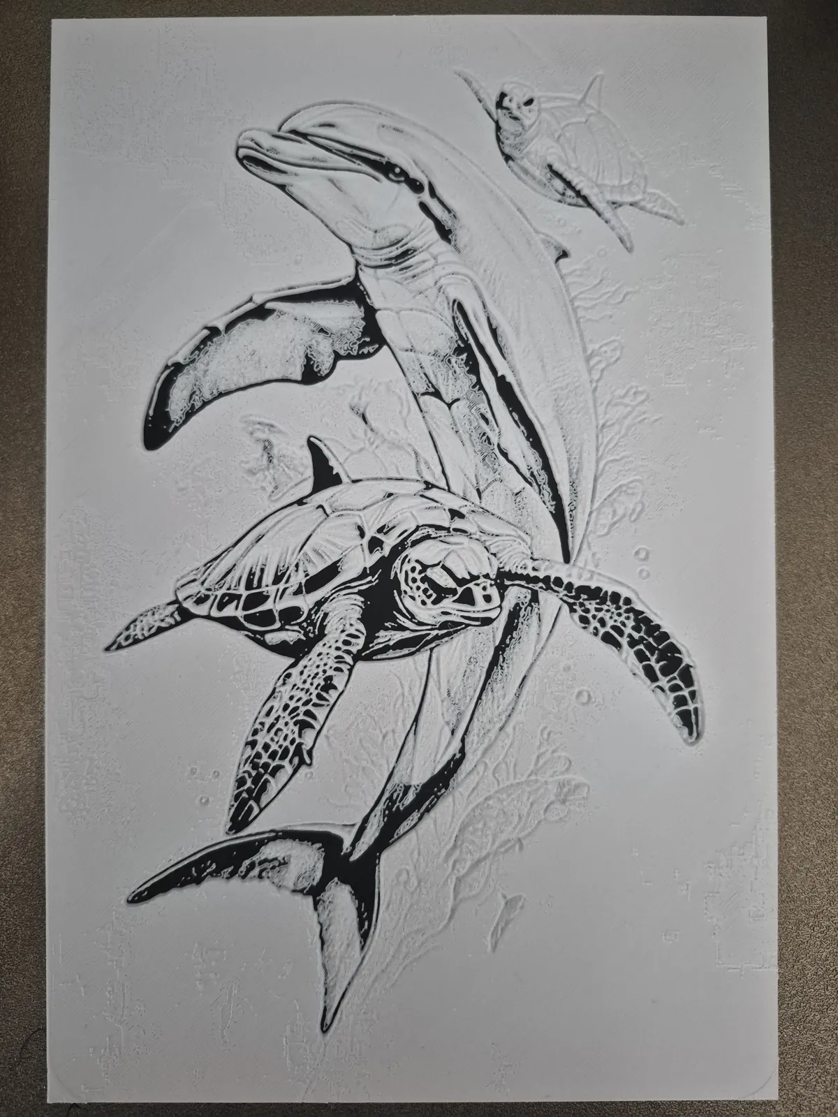 Dolphin & Turtle Realm