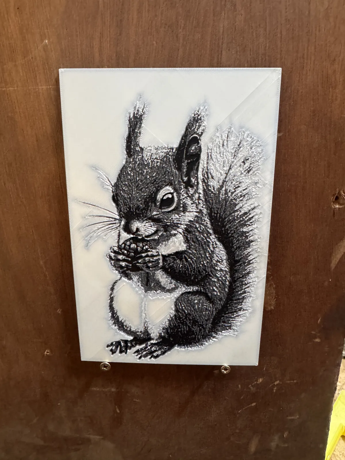 Squirrel
