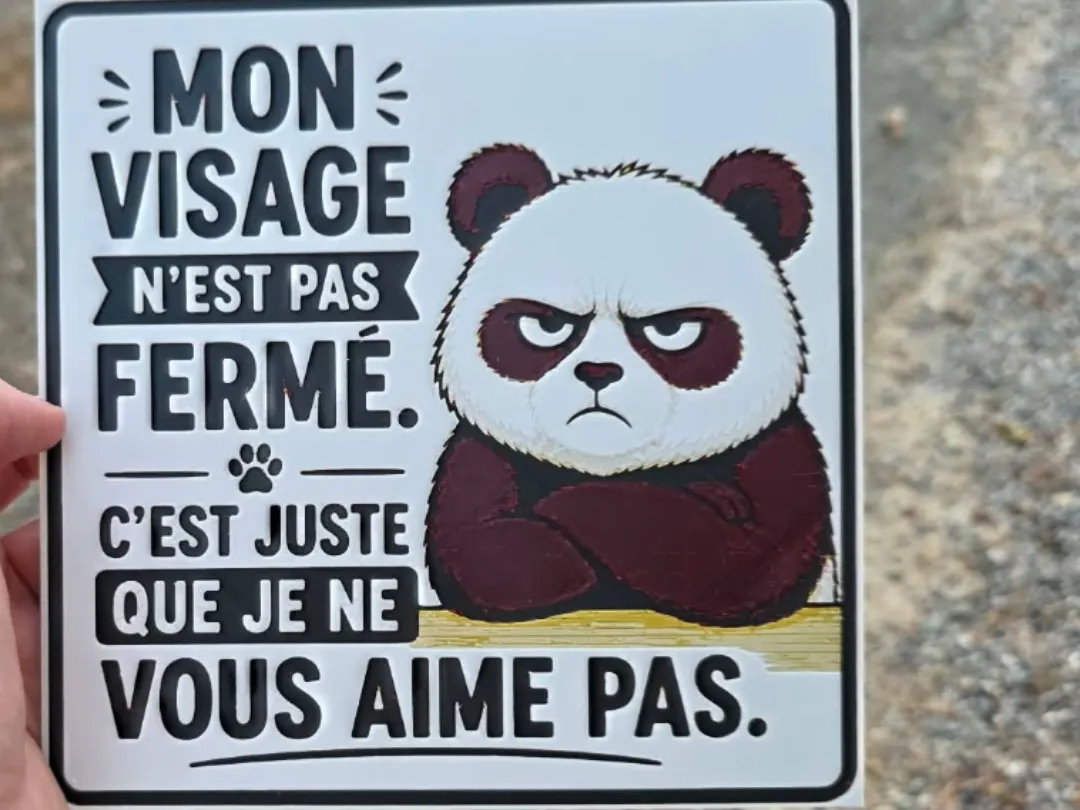 panda pas content