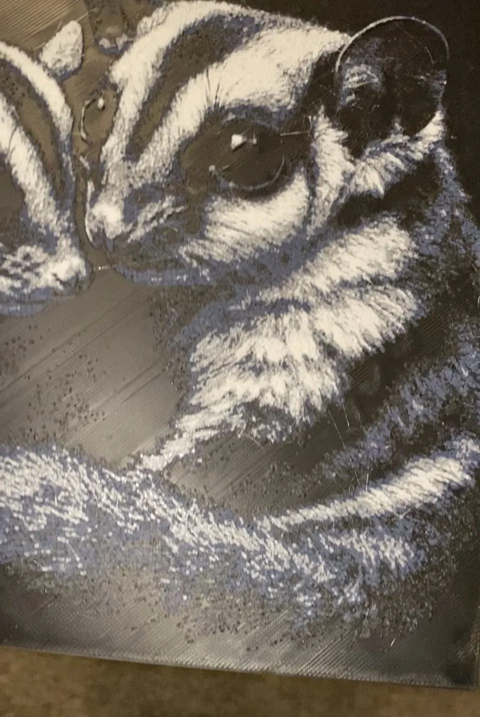 Sugar Gliders 8"x8" 4 Color Hue Forge
