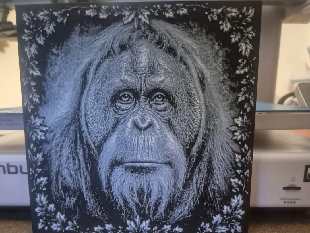 orangutan picture