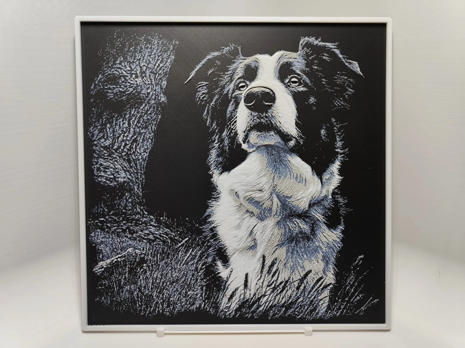 Border Collie - Hueforge