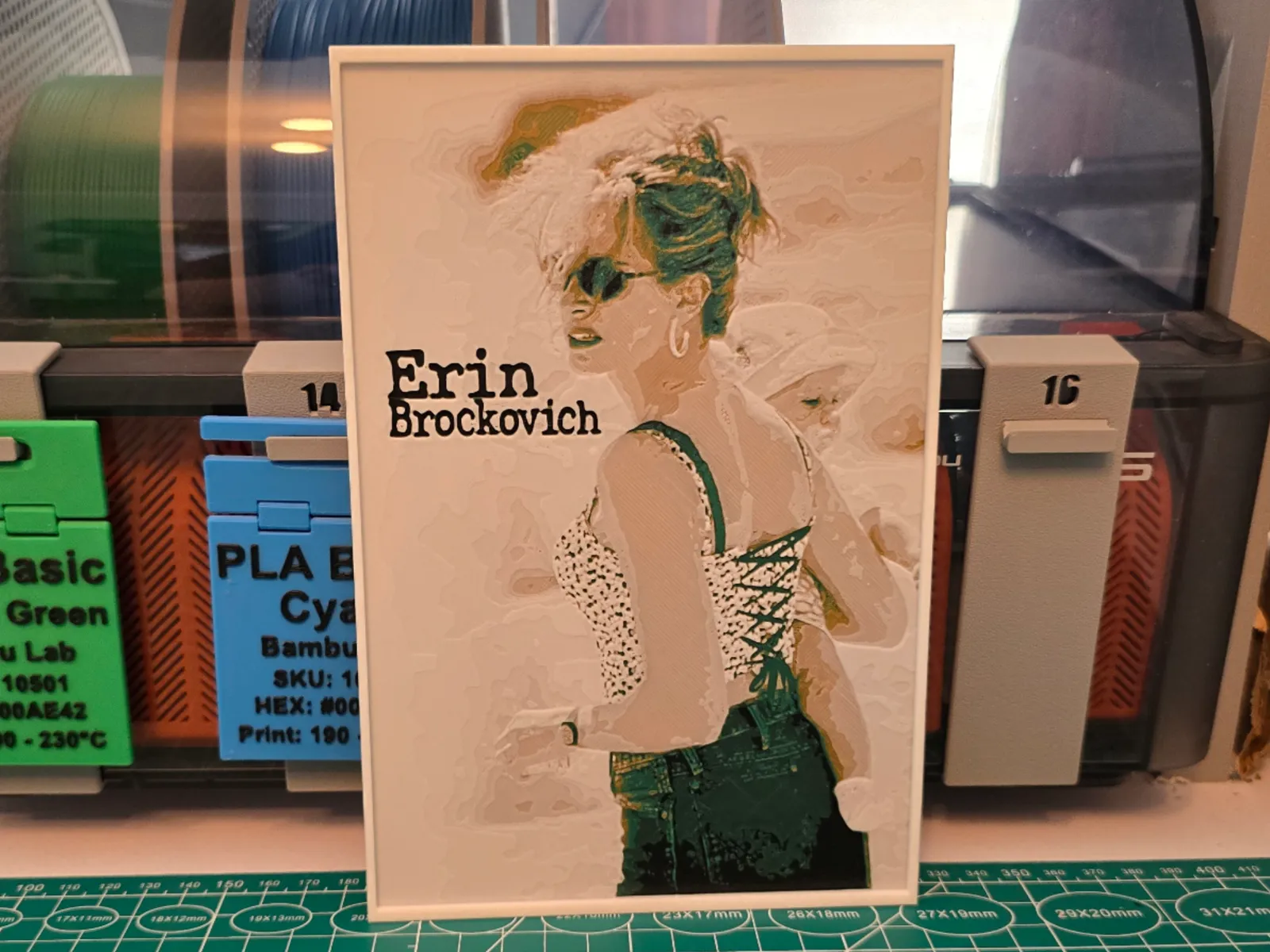 Erin Brockovich Movie Poster - Hueforge Art